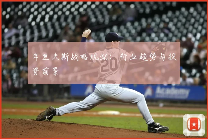 年里夫斯战略规划：行业趋势与投资前景